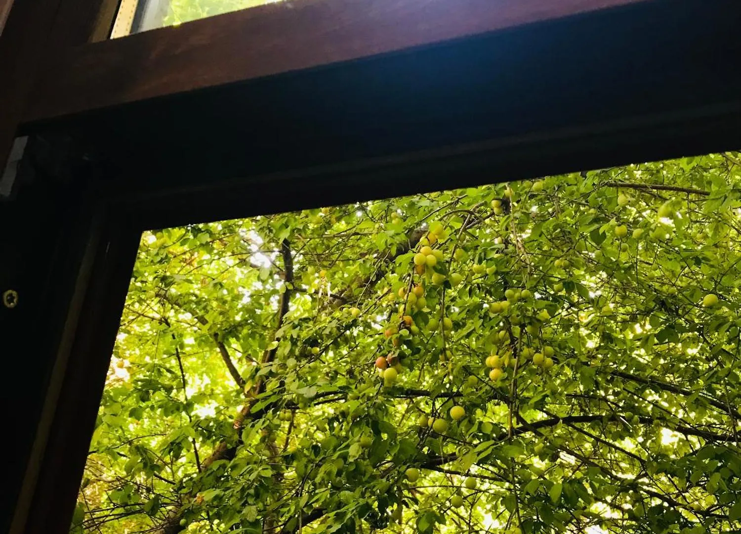 Halil Bey Konagi Aparthotel Istanbul